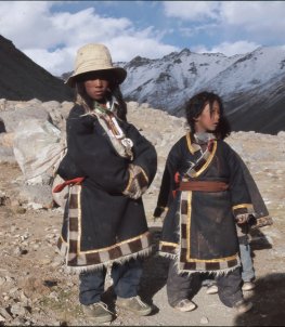 Kleine Tibeter ...