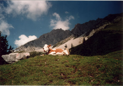 ber den Grat verluft der Innsbrucker Klettersteig