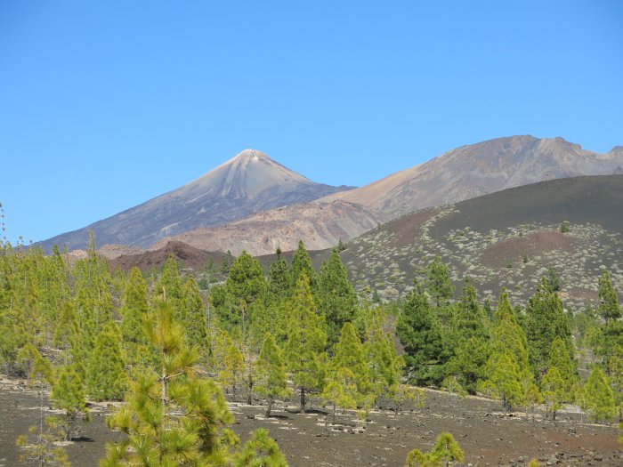 B23: Teide, Teneriffa (27.5.15)
