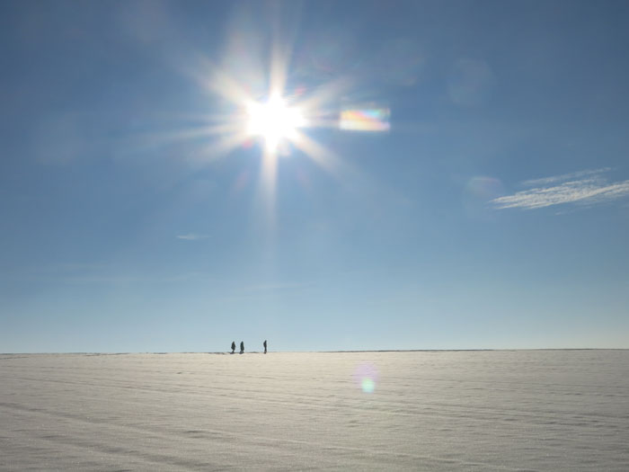 L17: Winterwanderer (Geisenbrunn, 01.01.15)
