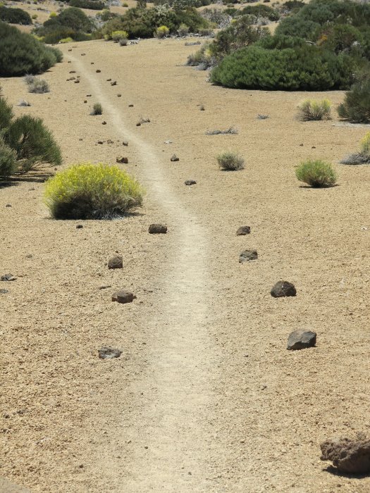 L18: Der lange Marsch (Teide, Teneriffa, 28.5.2015)