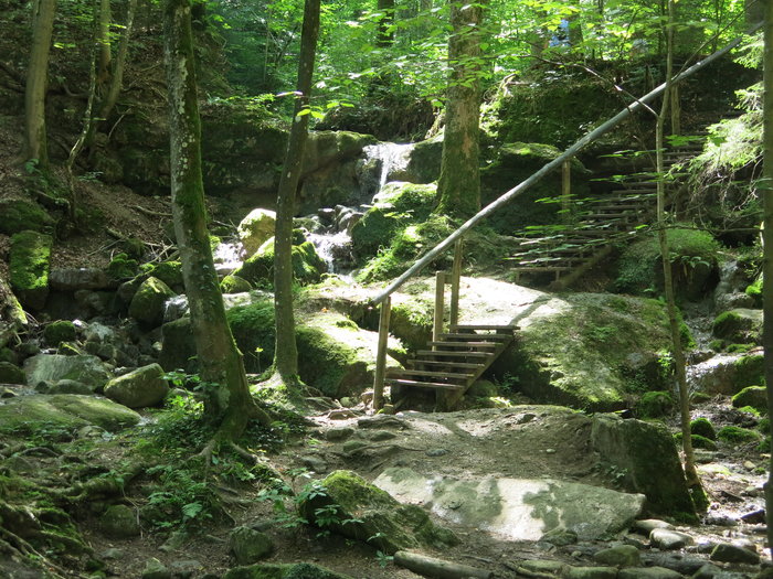 L20: Feuersteinschlucht (Auerberg, 29.07.2018)