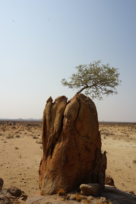 L23: Exklusiver Platz (Namibia, 04.08.2019)