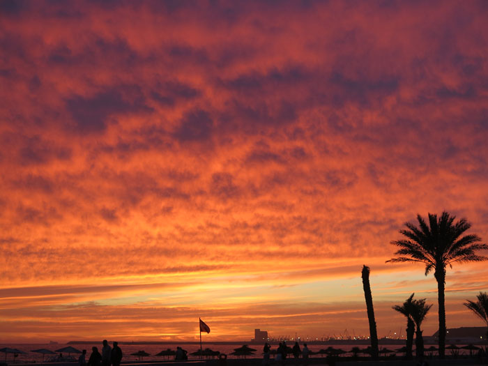 S26: ... und jetzt mit Palmen (Marokko, Agadir, 22.04.14)
