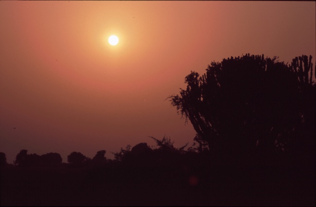 S7: Afrika (Uganda, 09.01.07)
