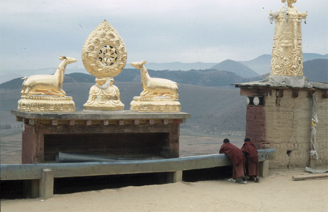 ST18: Mönch-Nachwuchs (Zhongdian, Yunnan, 08.11.05)
