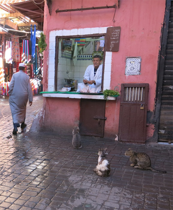 ST34: Lecker, Hühnchen! (Marrakesch, 27.04.14)