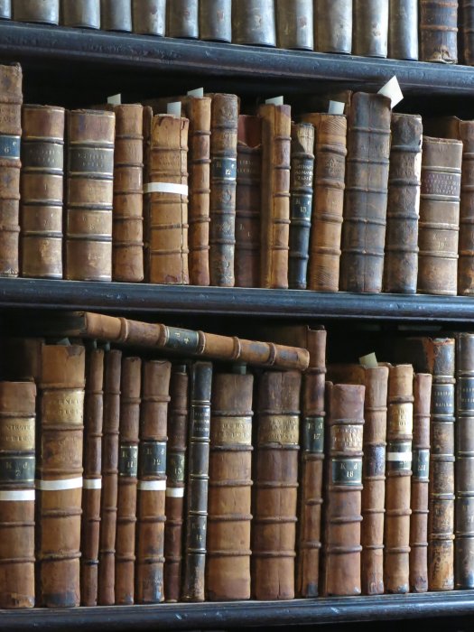 ST40: Bücherwurm (Trinity College, Dublin, 20.08.16)
