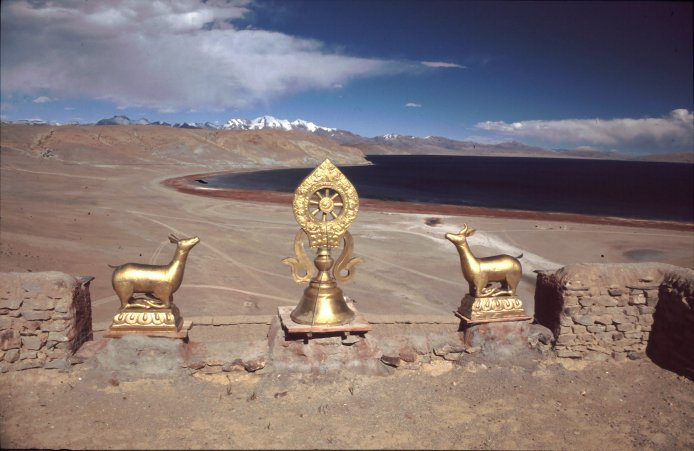 ST5: Deer Dance (Manasarovar, 04.10.05)