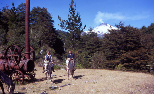 Reitausflug in den NP Villarica