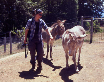 Auf der Bauer-Ranch