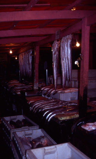 Fischmarkt in Angelmo