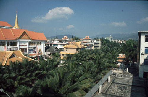Jinghong