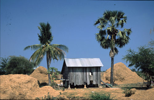 Auf dem Weg nach Pursat