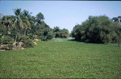 Auf dem Weg nach Pursat