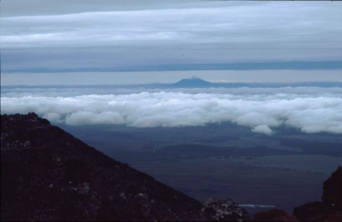 Tongariro