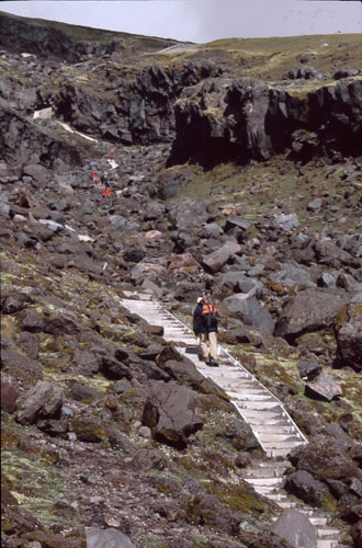 Taranaki