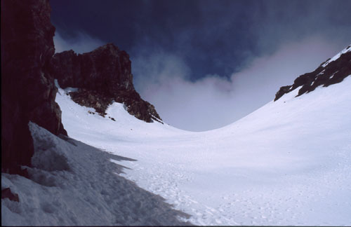 Taranaki