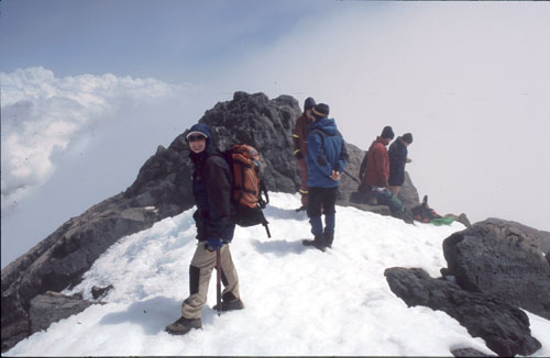 Taranaki