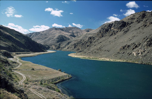 Dunedin