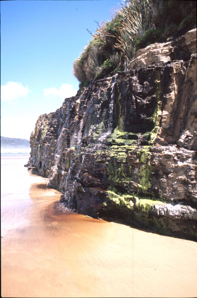 Cathedrale Caves