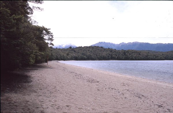 Kepler Track