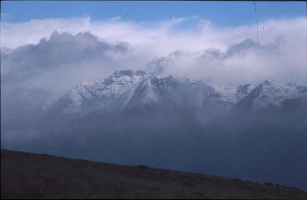 Kepler Track