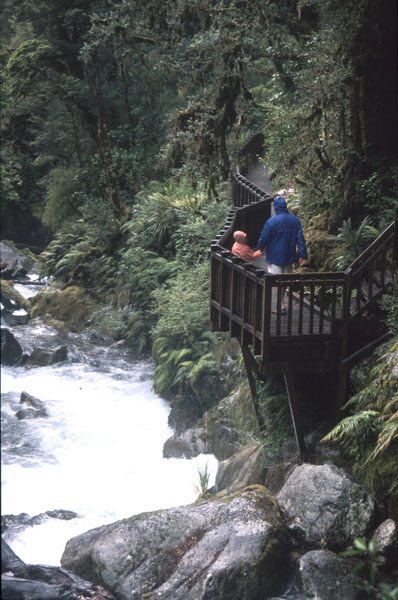 Milford-Sound