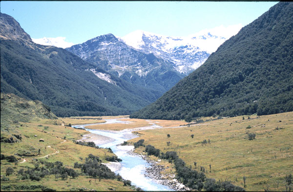 Mt. Aspiring