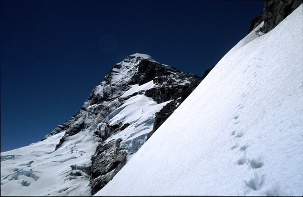 Mt. Aspiring