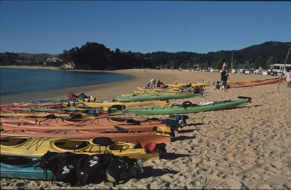 Abel Tasman