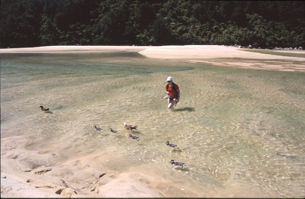 Abel Tasman