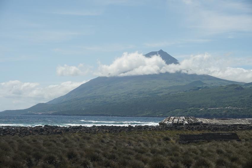 Pico