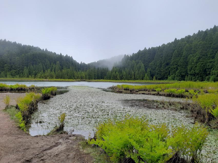 Pico da Cruz - São Miguel / Azoren