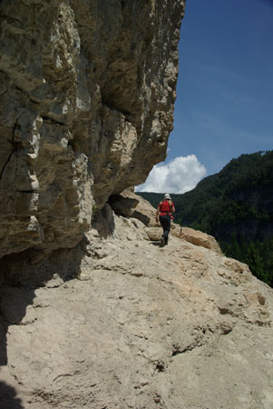 Novella Schlucht