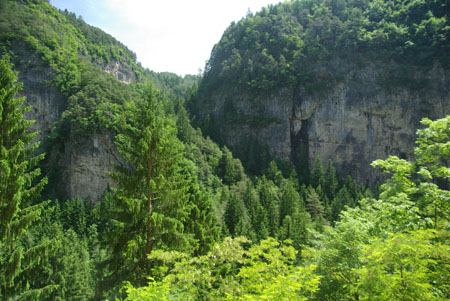 Novella Schlucht