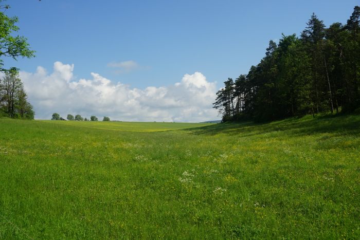 Deutschland p langs