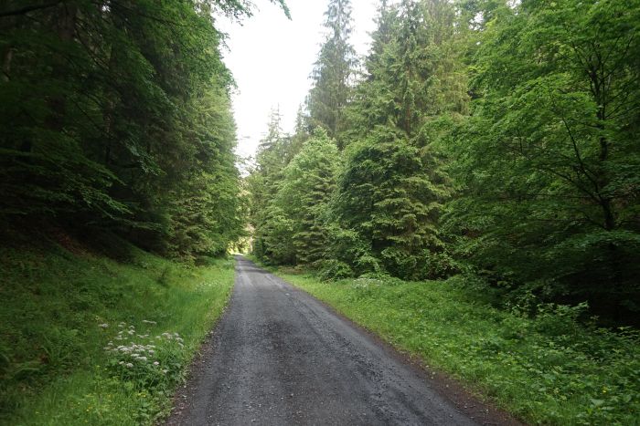 Deutschland p langs