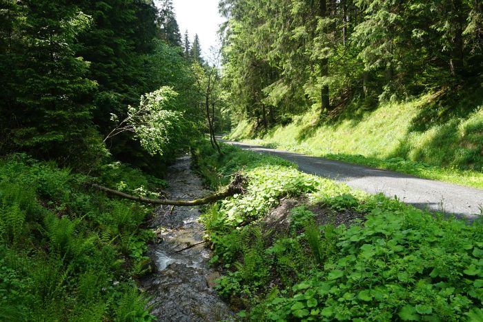 Deutschland p langs