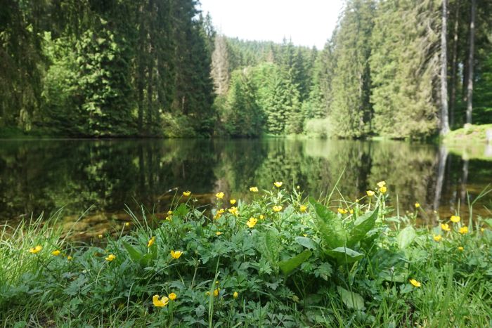 Deutschland p langs