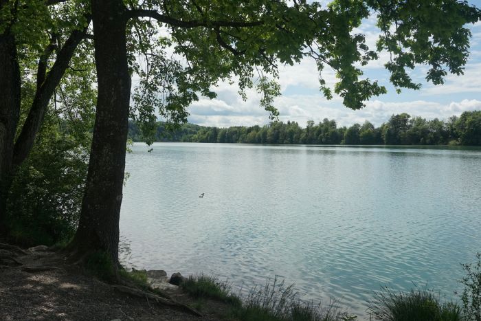 Deutschland p langs