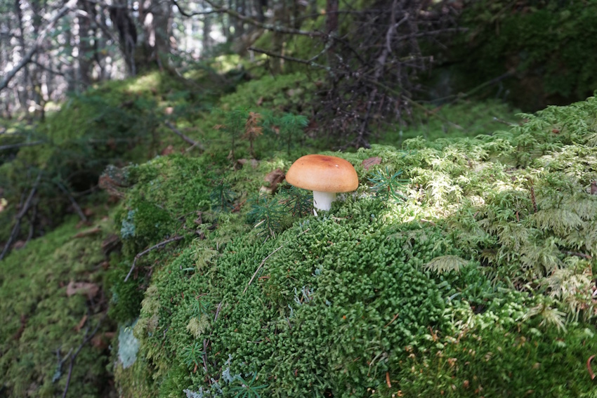 Baxter State Park