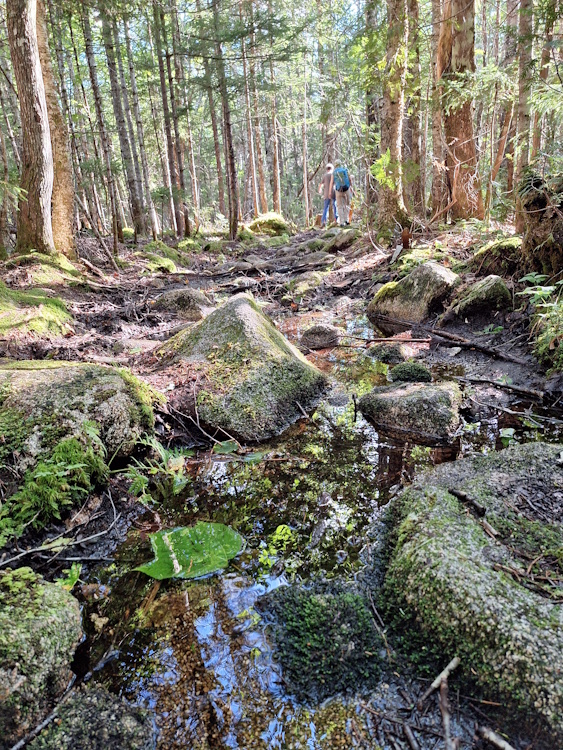 Baxter State Park