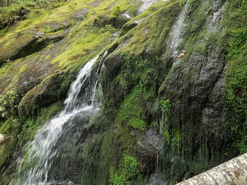 Saguenay