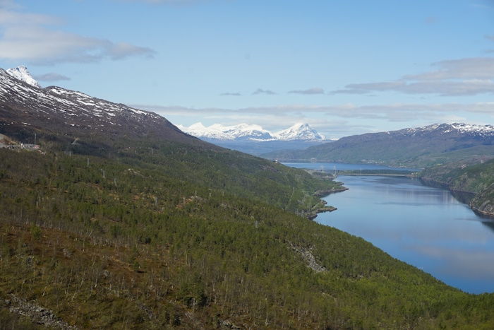 Narvik