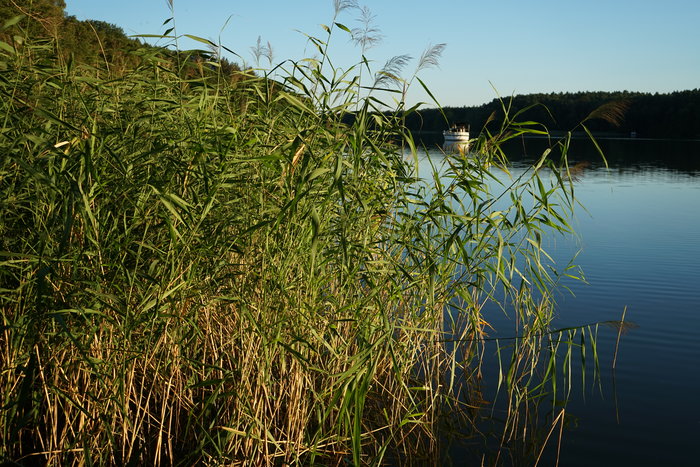 Seenplatte