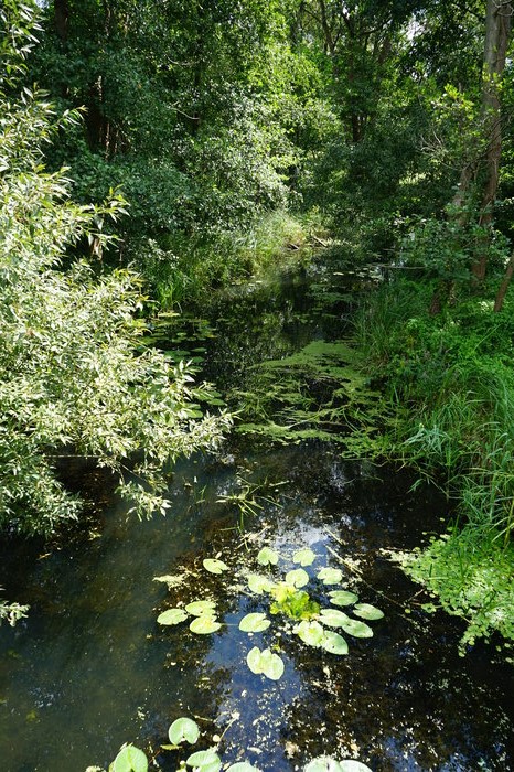 Spreewald