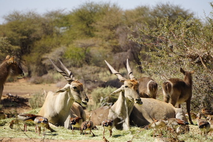 Namibia