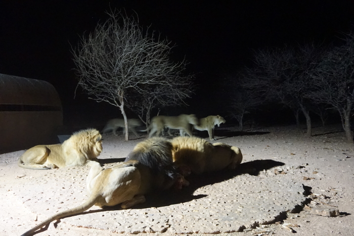 Namibia