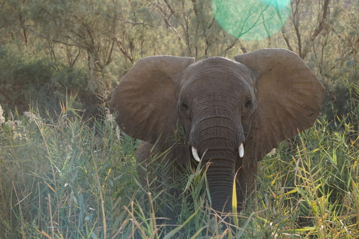 Namibia